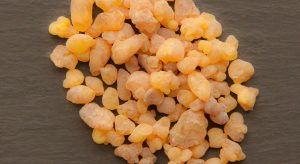 Sustainable Perfumery Sourcing: Tracing Rare Aromatic Resins